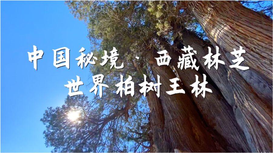 菲利普斯官宣采访：现在很兴奋，下半赛季有很多值得期待的事