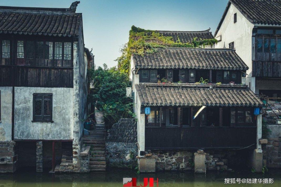 逃离诡异的森林